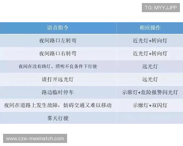 凯发精英体育新手入门指南,快速掌握平台操作与投注技巧 凯发精英体育新手入门指南,快速掌握平台操作与投注技巧